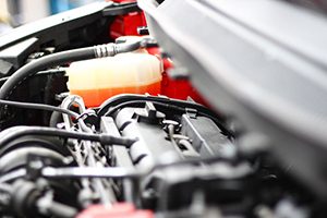 Dodge Repair Lake Grove